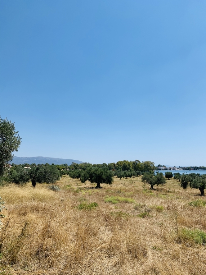 property-img
