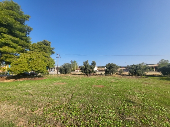 property-img