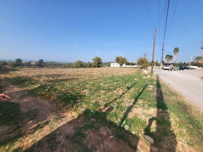 property-img