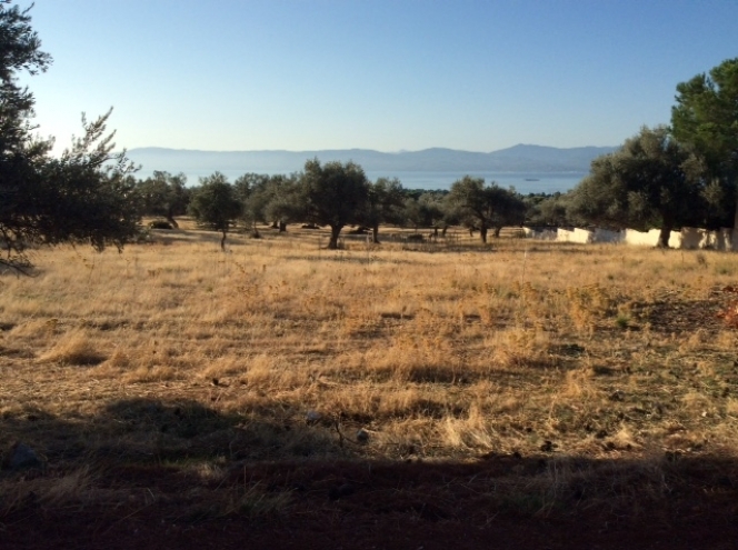 property-img