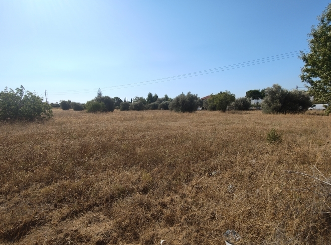 property-img
