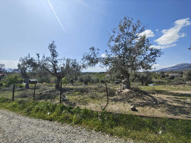property-img