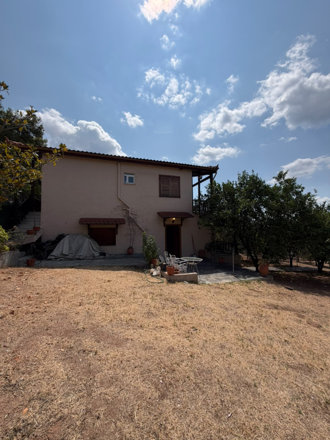 property-img