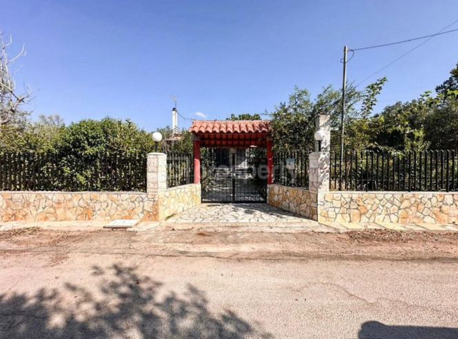 property-img