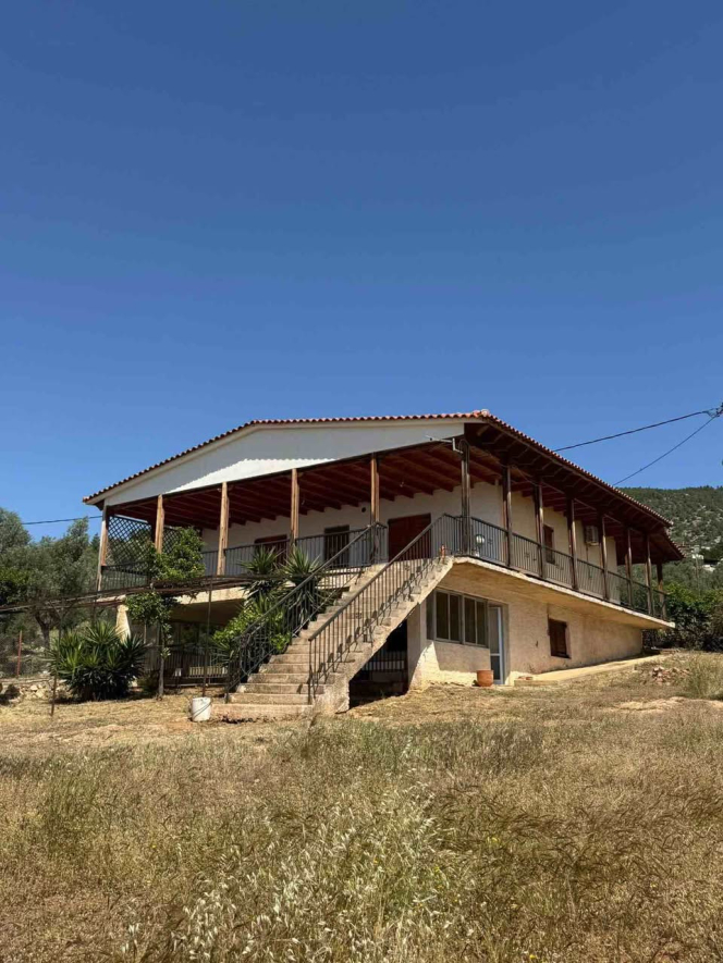 property-img